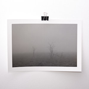 Fading in the mist - Hohes Venn - Classic High Quality Photographic Print on Baryta Paper - Limited hand numbered edition of 100